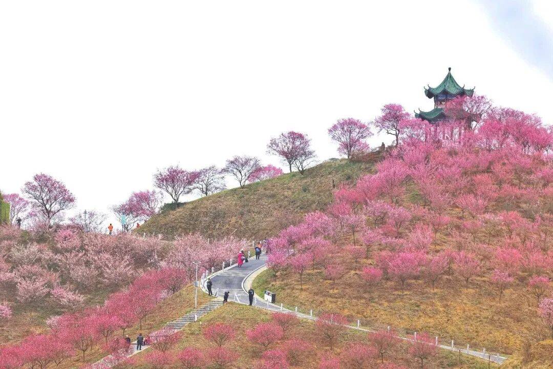 贵阳贵安3天2夜双线攻略带你新春漫游不朽情缘平台网站热闹or治愈任你选!(图8) 贵阳贵安3天2夜双线攻略带你新春漫游不朽情缘平台网站热闹or治愈任你选!(图8)